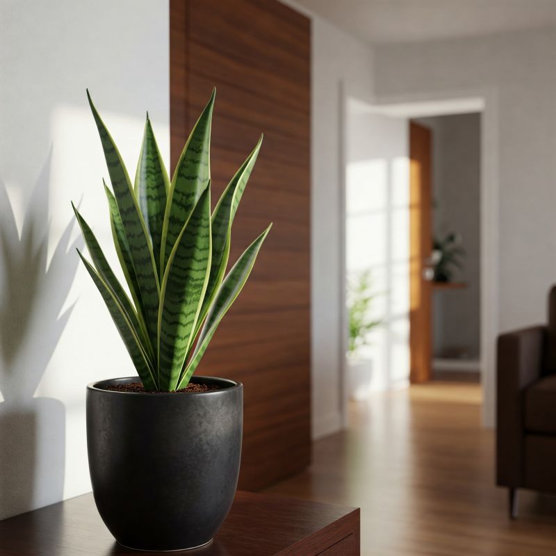 5-planter-der-er-meget-lette-at-passe